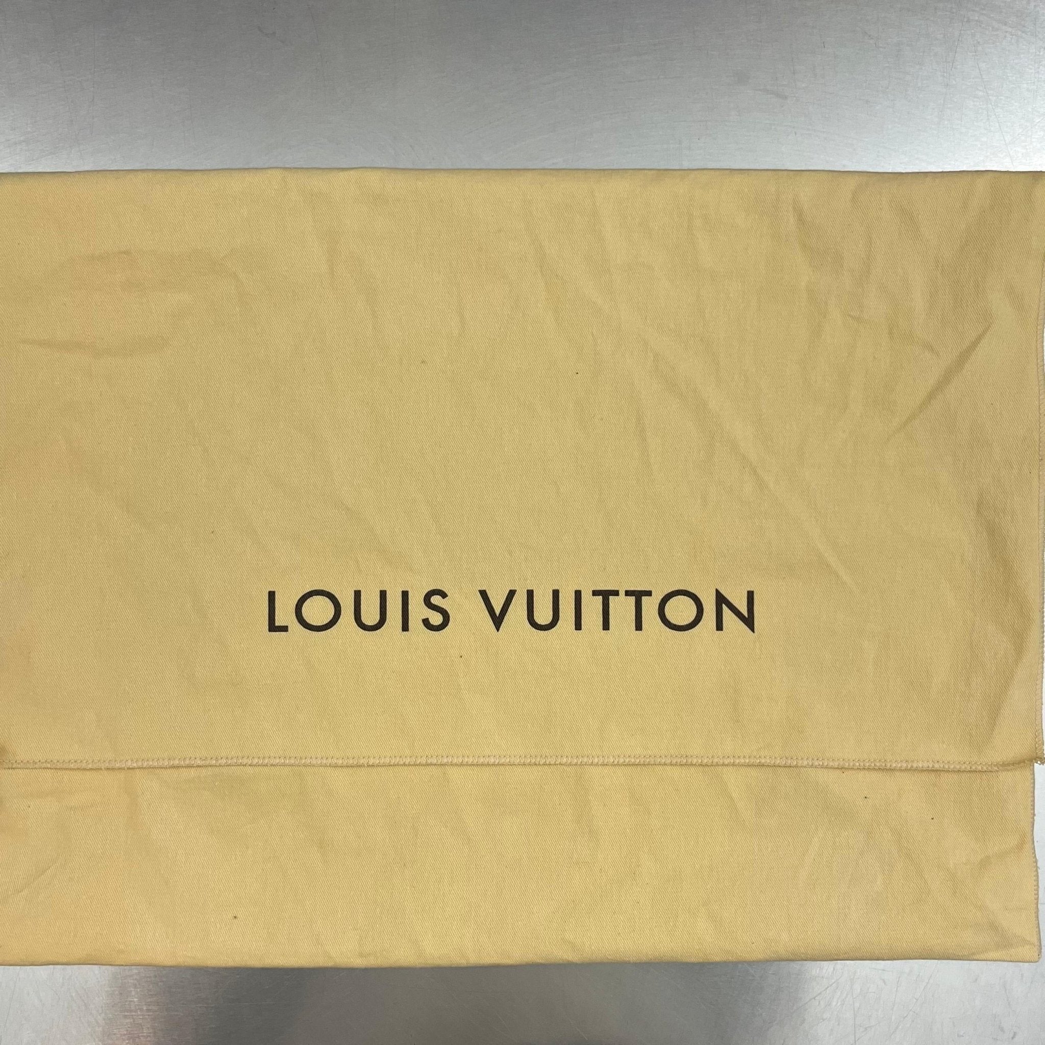 Louis Vuitton Cluny MM Epi