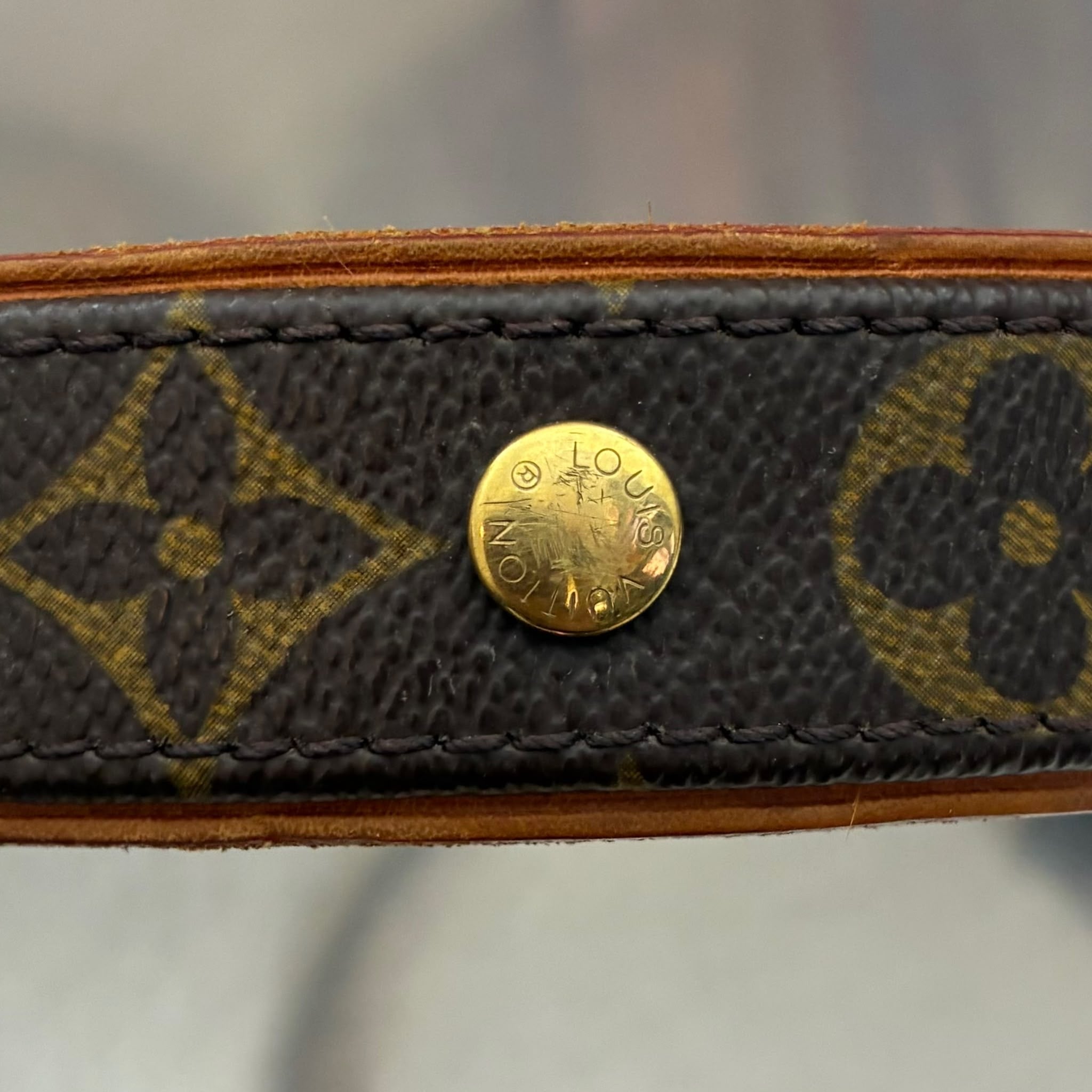 Louis Vuitton Collier Baxter GM M58070
