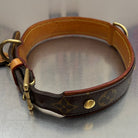 Louis Vuitton Collier Baxter GM M58070