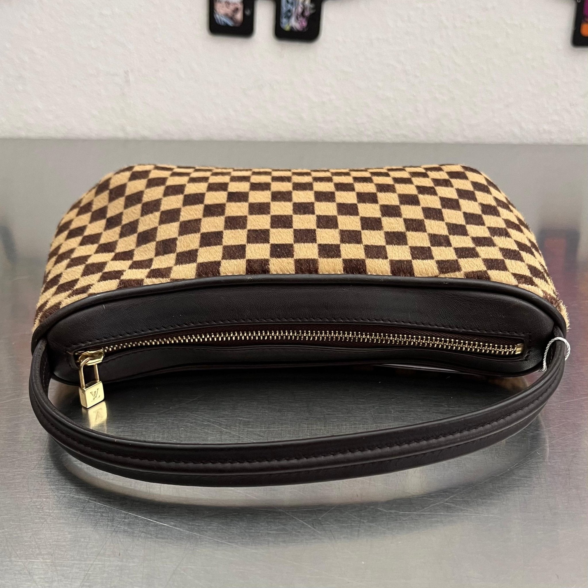 Louis Vuitton Damier Sauvage Tiger