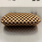 Louis Vuitton Damier Sauvage Tiger