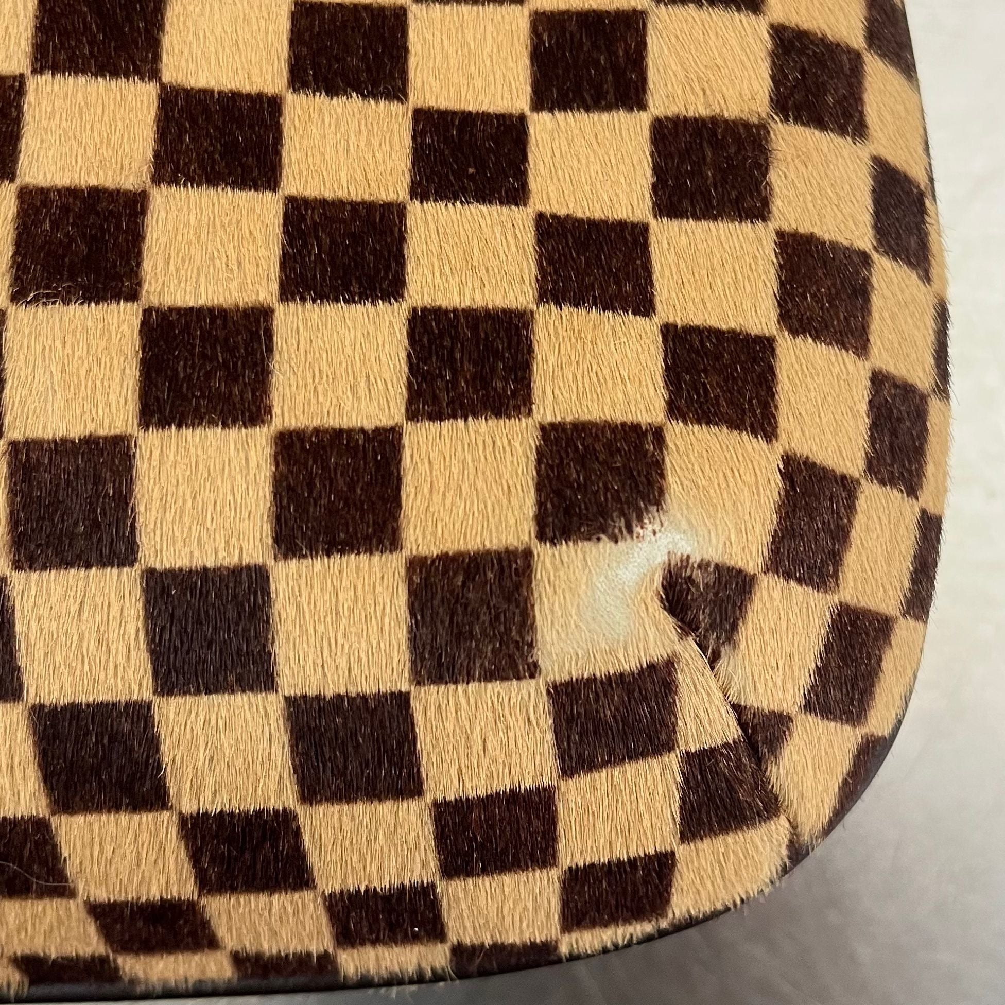 Louis Vuitton Damier Sauvage Tiger