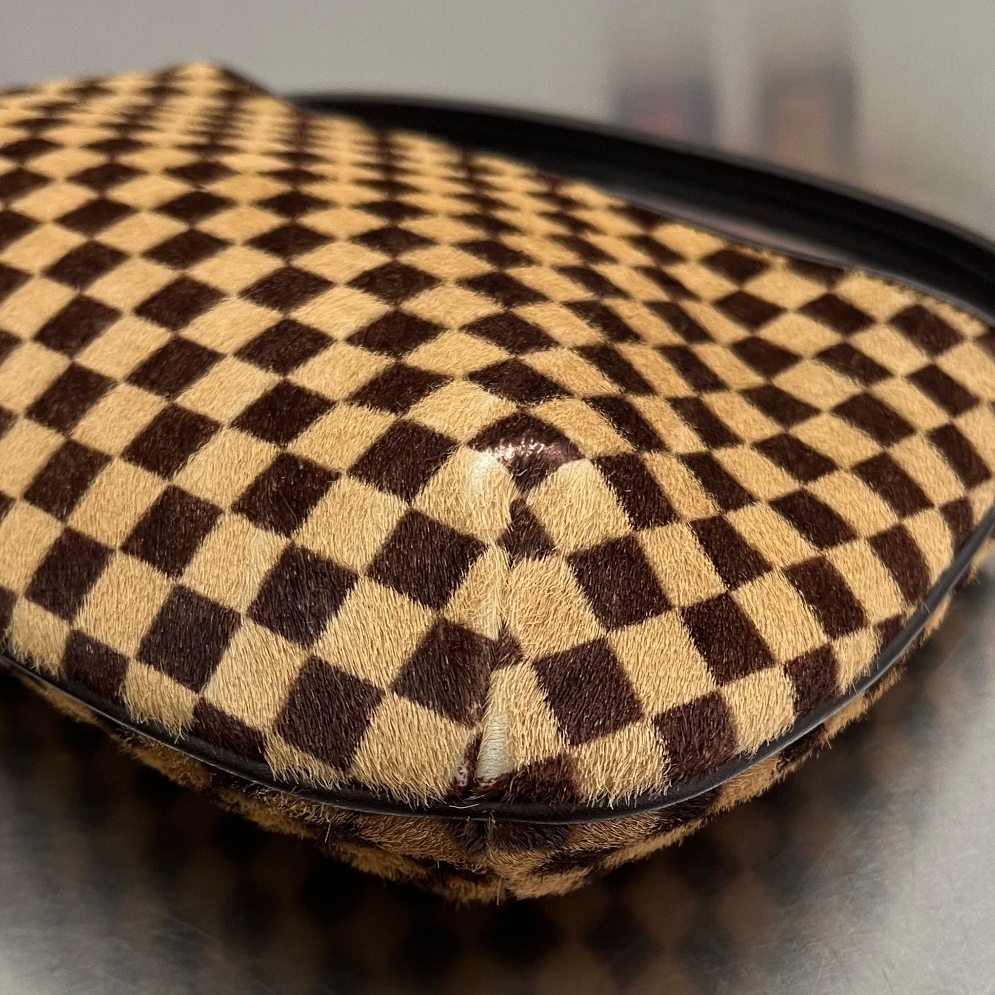 Louis Vuitton Damier Sauvage Tiger