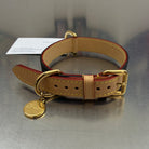 Louis Vuitton Dog Collar PM GI1215