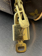 Louis Vuitton Evasion