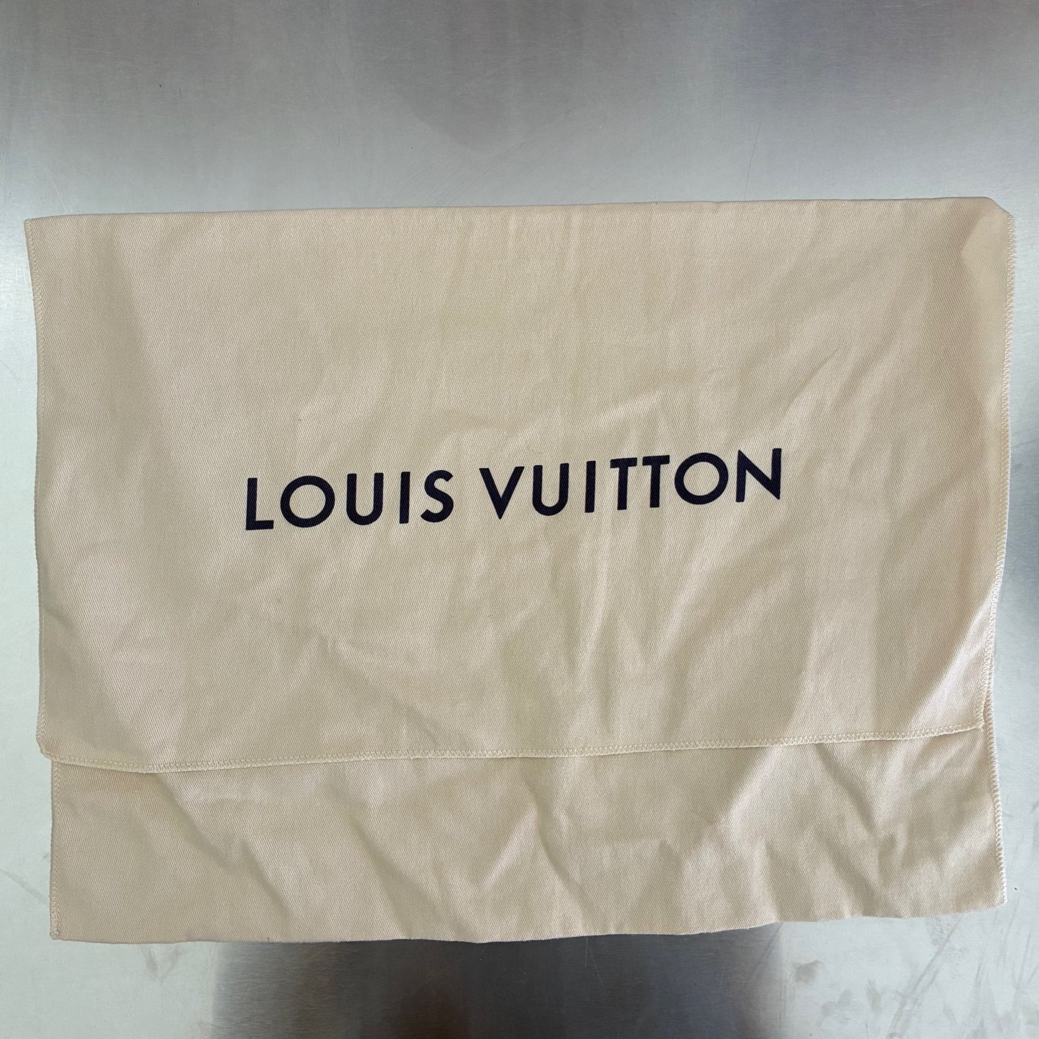 Louis Vuitton Havane Stamped Trunk Bowler Bag