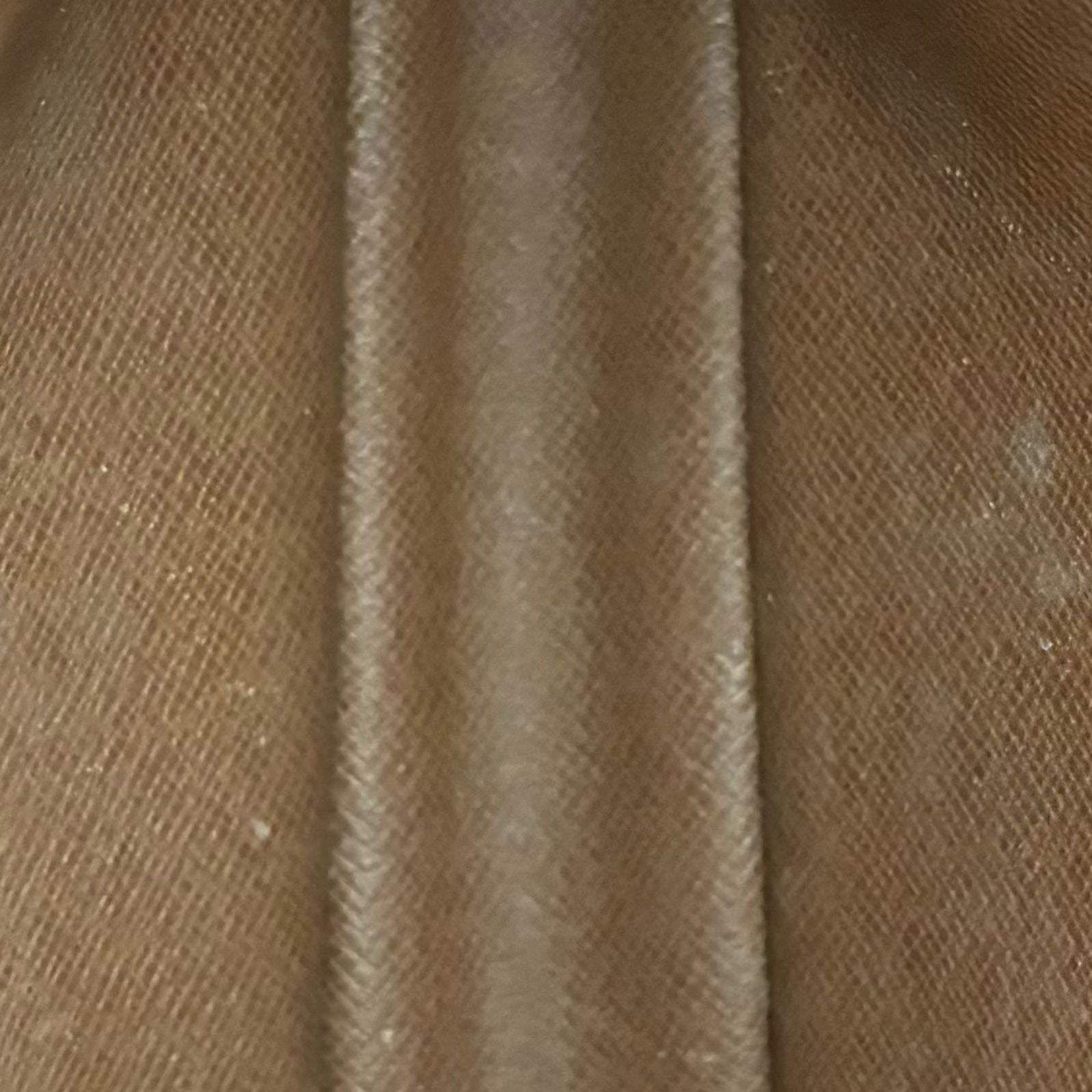 Louis Vuitton Marly Dragonne PM Monogram