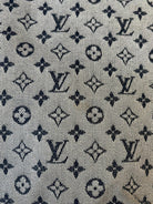 Louis Vuitton Mini Lin Francoise