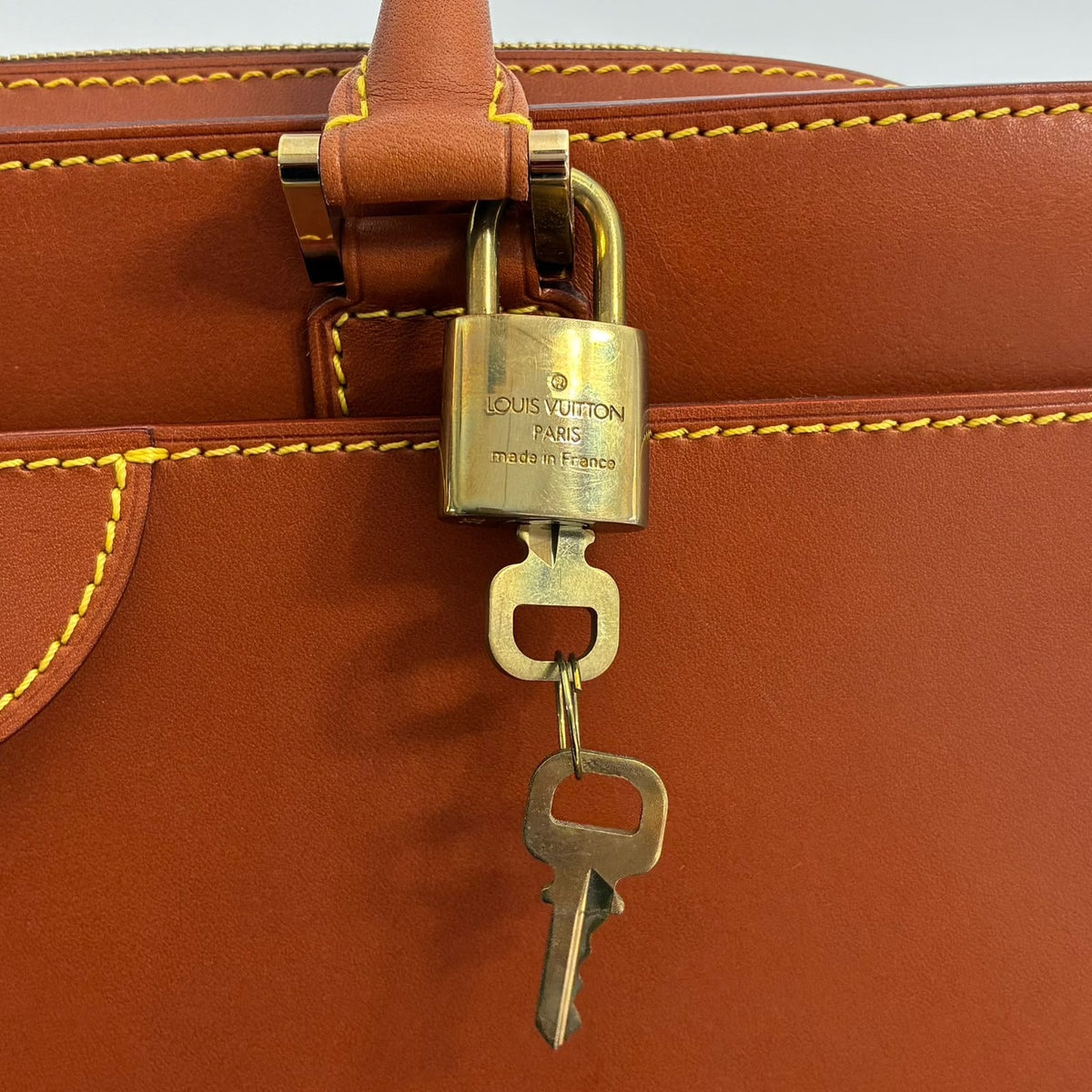 Louis Vuitton Negev PM Nomade