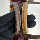 Louis Vuitton OnTheGo MM