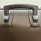 Louis Vuitton Pegase 45 Taiga Grizzly