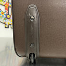 Louis Vuitton Pegase 45 Taiga Grizzly