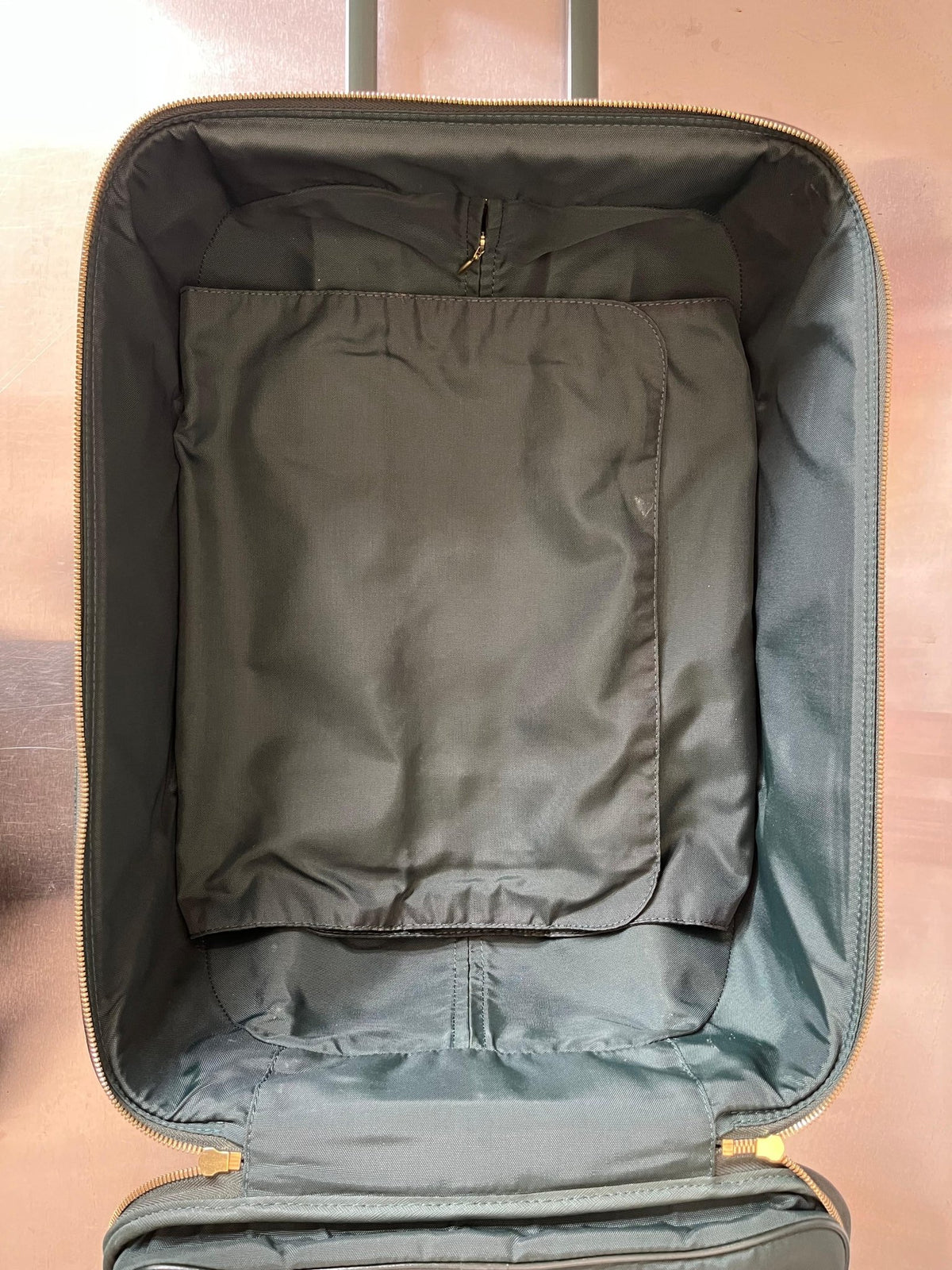 Louis Vuitton Pegase 50 Taiga