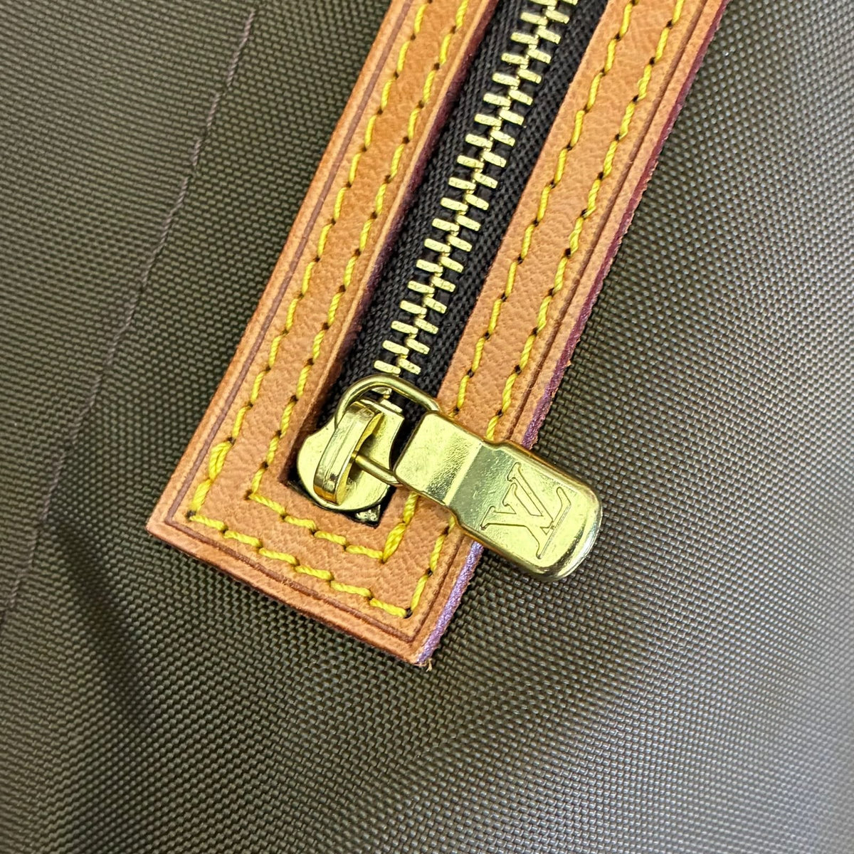 Louis Vuitton Portable Cabin Monogam Kleiderhülle