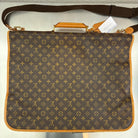 Louis Vuitton Portable Cabin Monogam Kleiderhülle