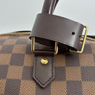 Louis Vuitton Ribera GM Damier Ebene