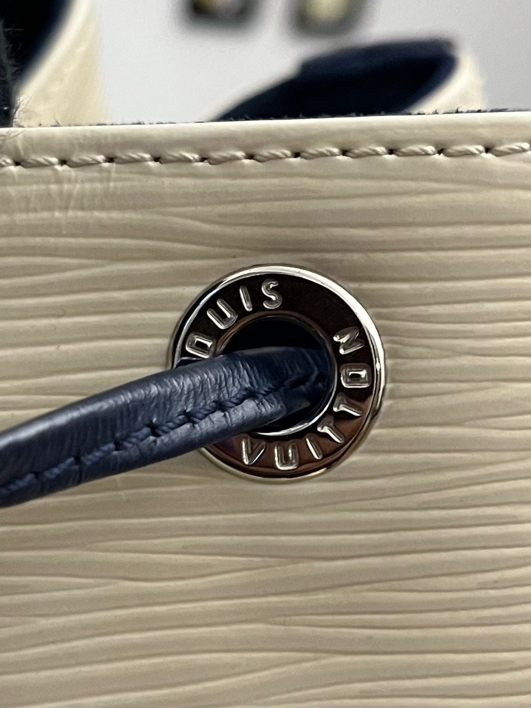 Louis Vuitton Sac Noé Bicolor Petit Epi