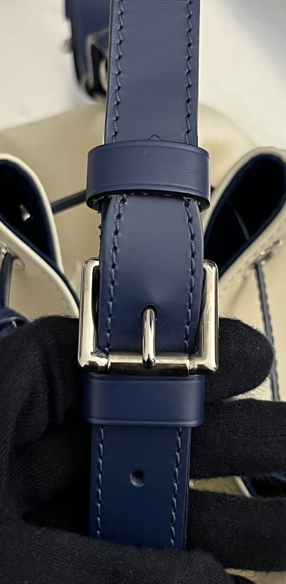 Louis Vuitton Sac Noé Bicolor Petit Epi