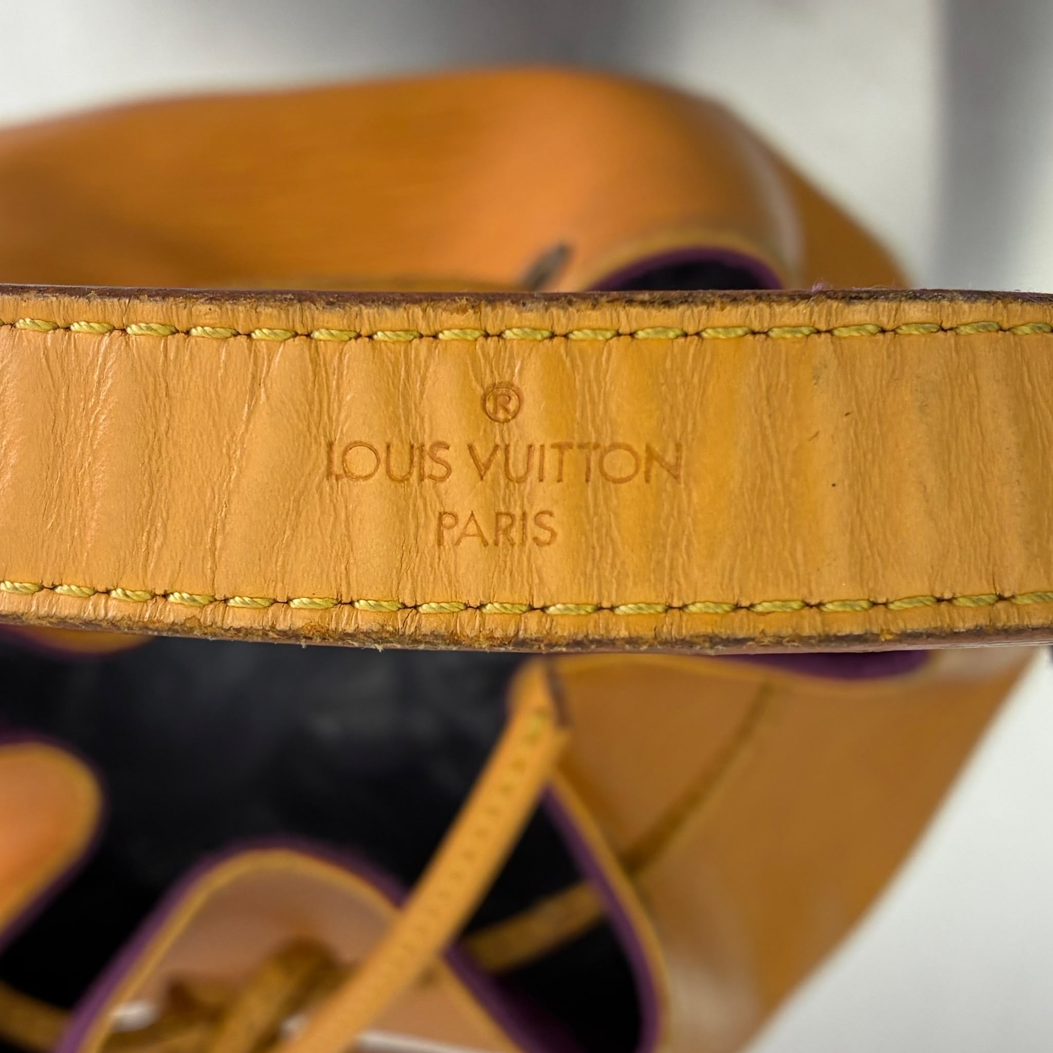 Louis Vuitton Sac Noé Grande Epi