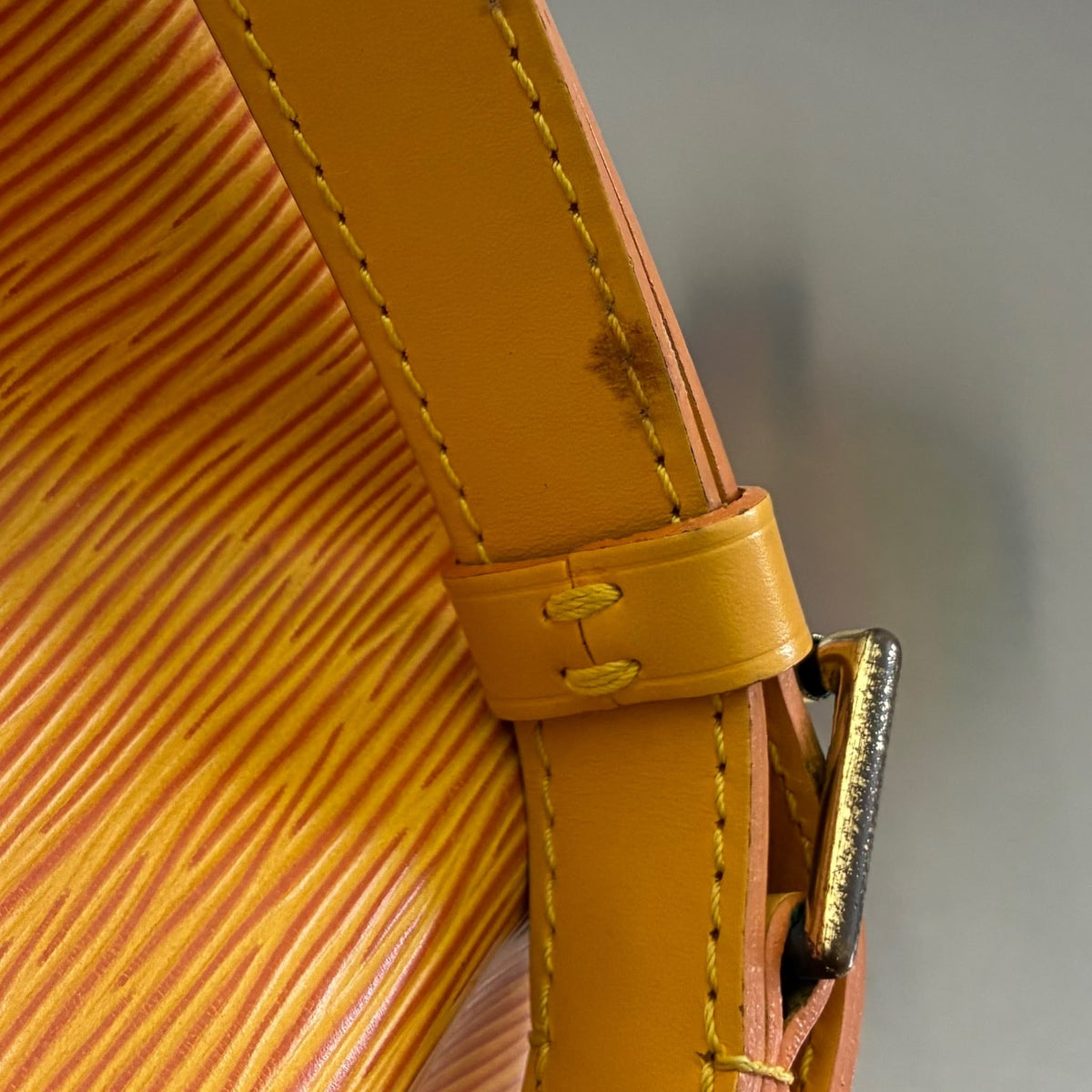 Louis Vuitton Sac Noé Petit Epi