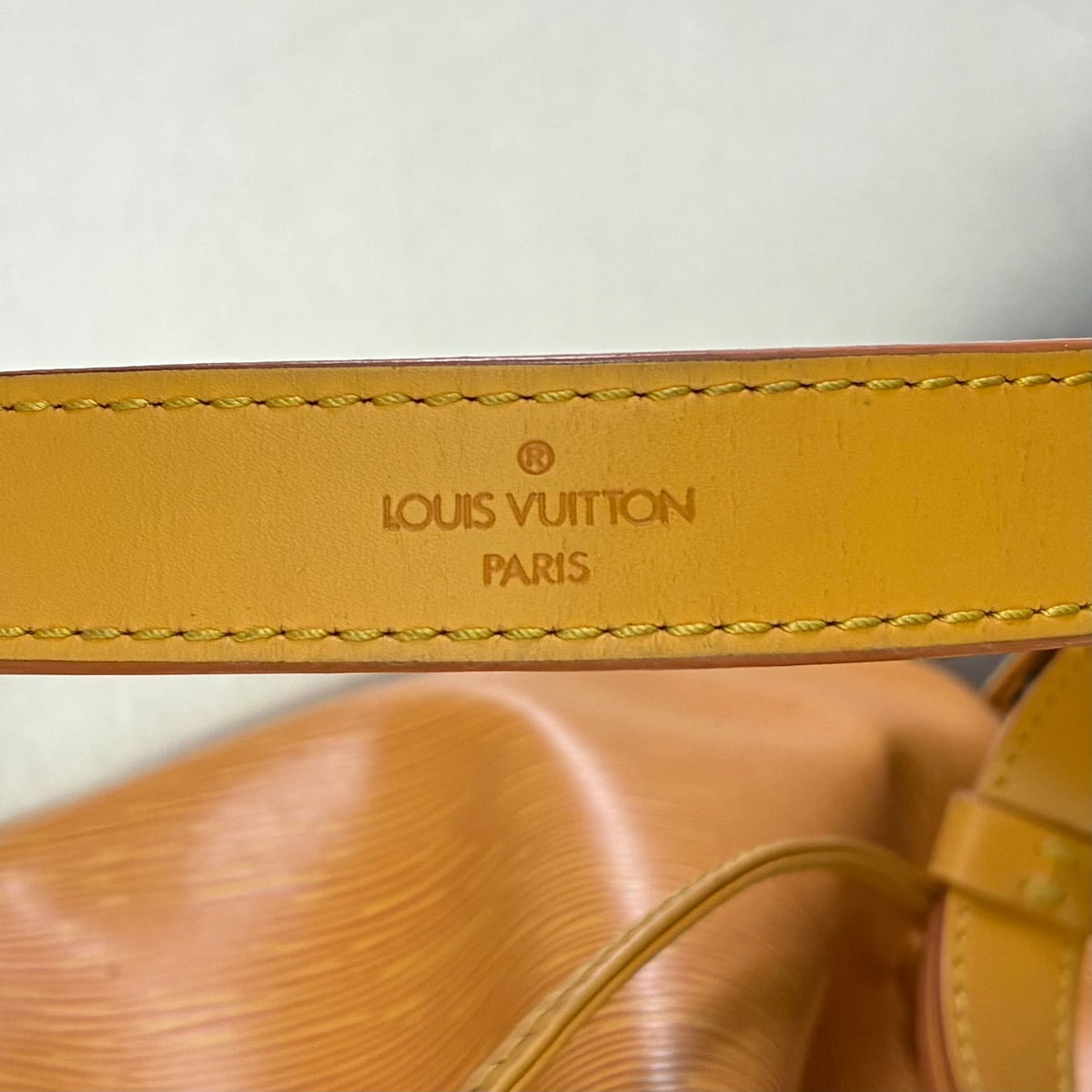 Louis Vuitton Sac Noé Petit Epi