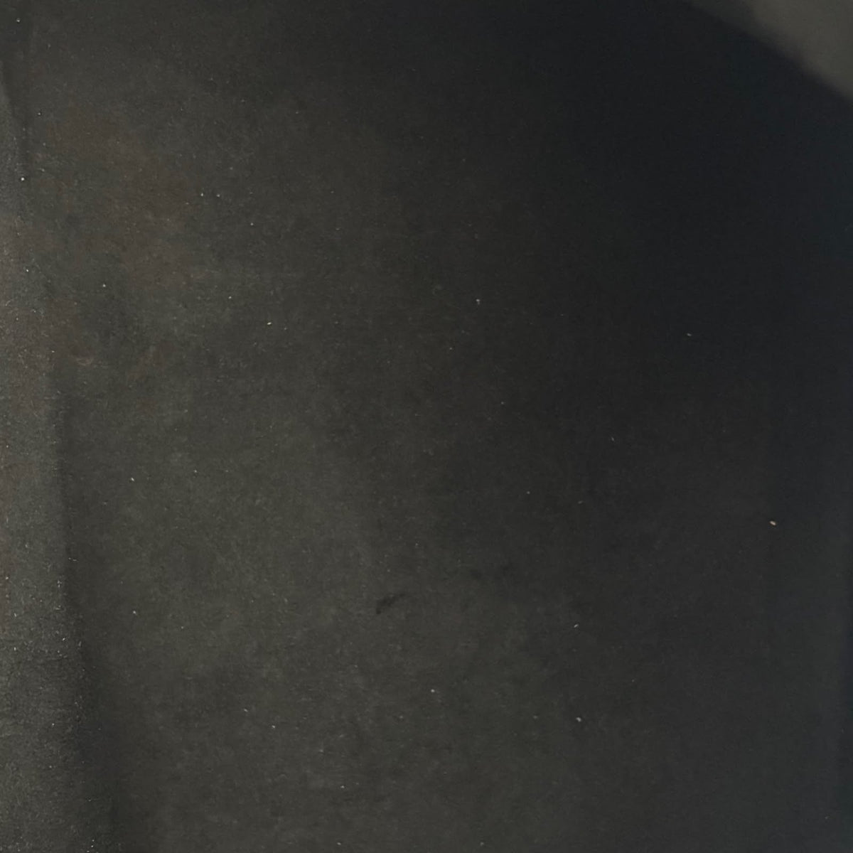 Louis Vuitton Sac Noé Petit Epi