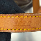 Louis Vuitton Sac Noé Petit Monogram