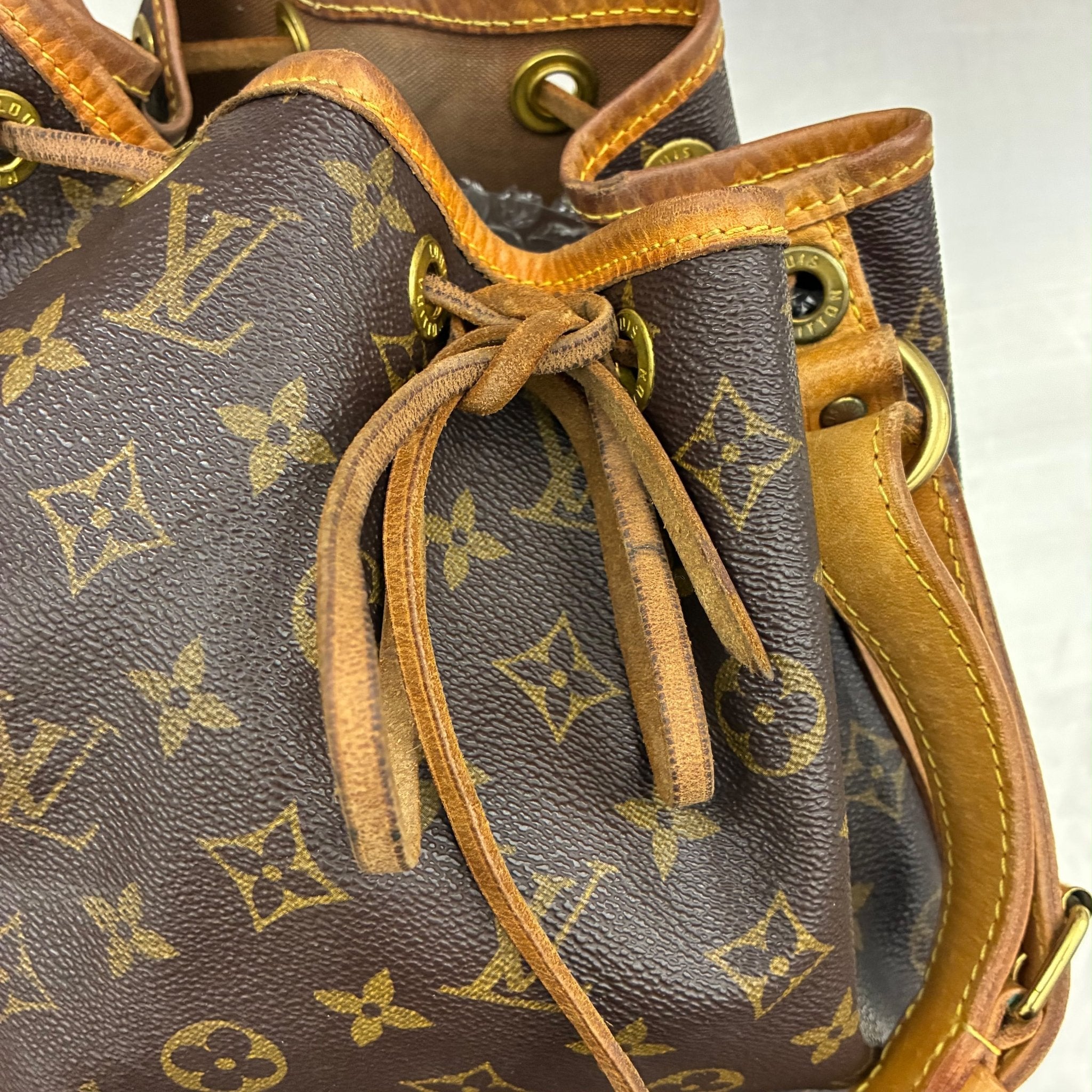 Louis Vuitton Sac Noé Petit Monogram