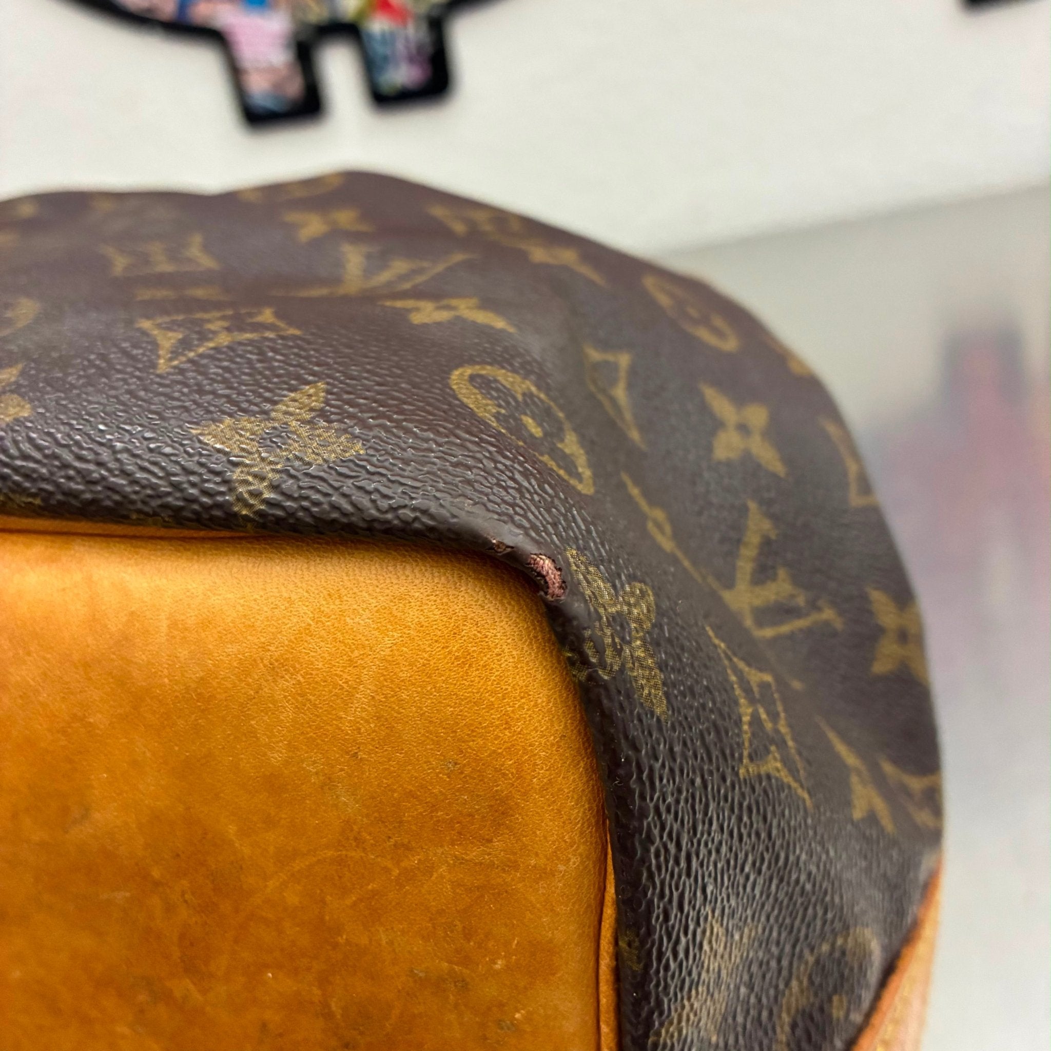 Louis Vuitton Sac Noé Petit Monogram