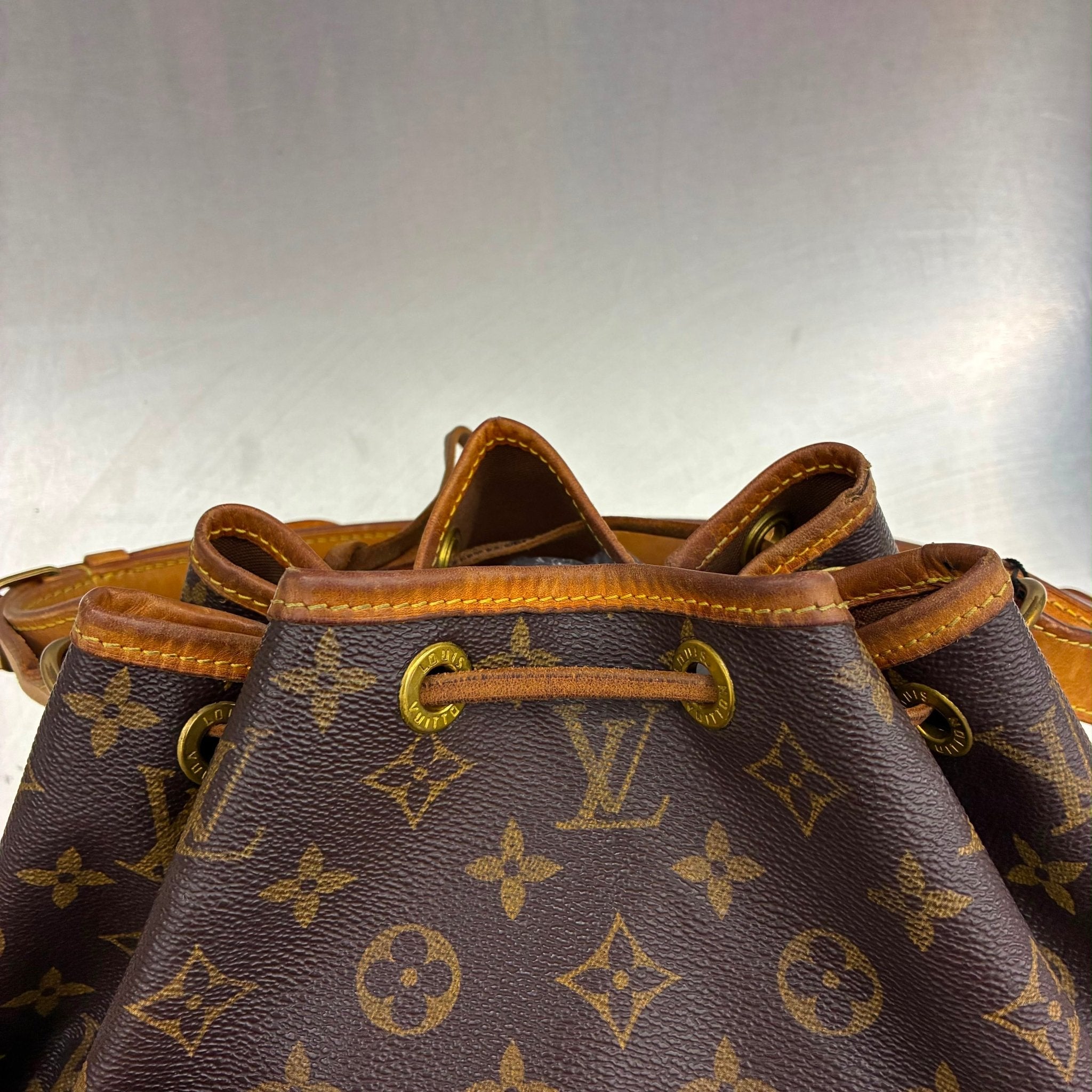 Louis Vuitton Sac Noé Petit Monogram