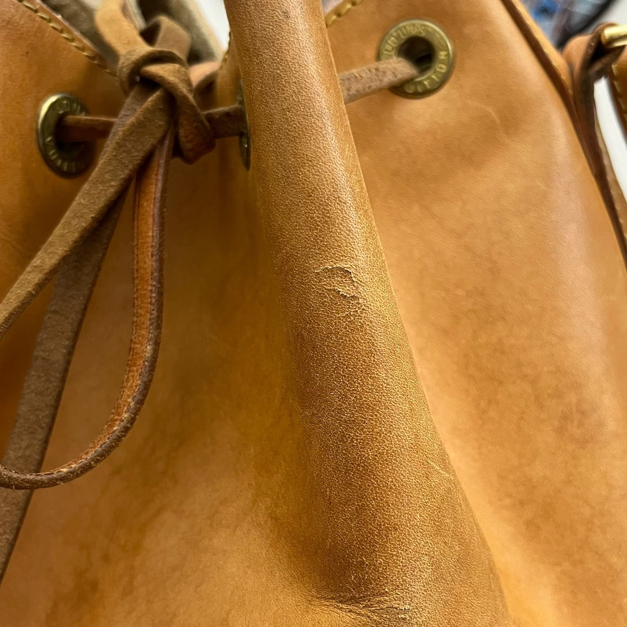 Louis Vuitton Sac Noé Petit Nomade