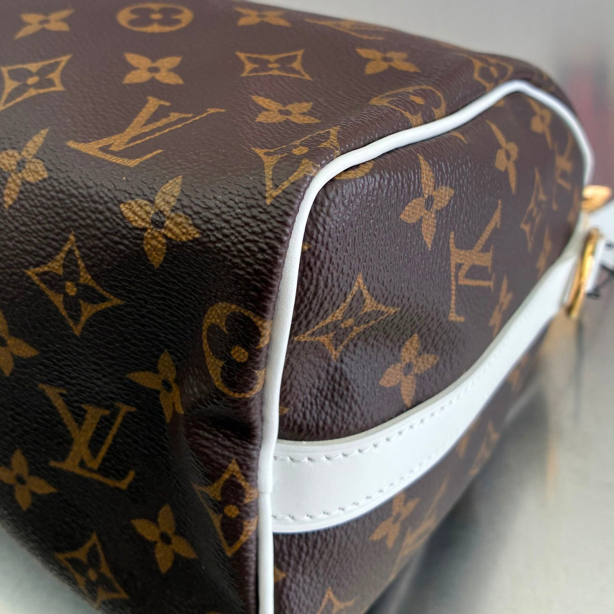 Louis Vuitton Seedy 25 Monogram