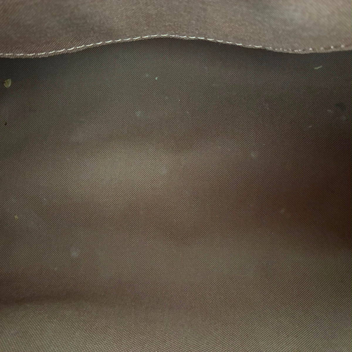 Louis Vuitton Seedy 25 Monogram