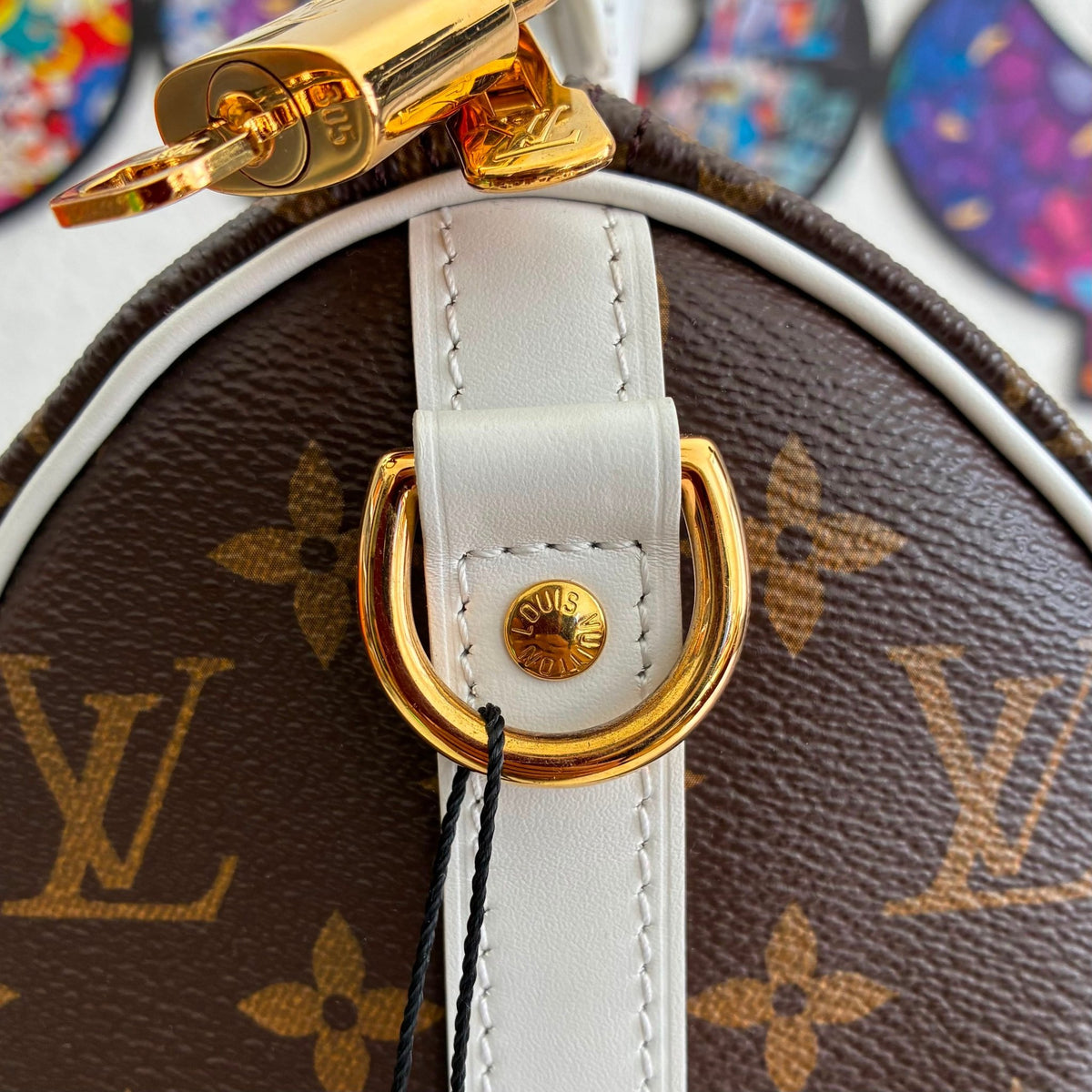 Louis Vuitton Seedy 25 Monogram