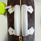 Louis Vuitton Seedy 25 Monogram