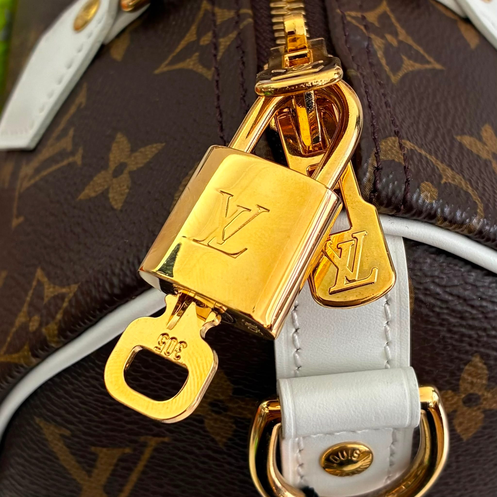 Louis Vuitton Seedy 25 Monogram