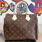 Louis Vuitton Seedy 25 Monogram