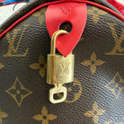Louis Vuitton Speedy 30 Totem Monogam