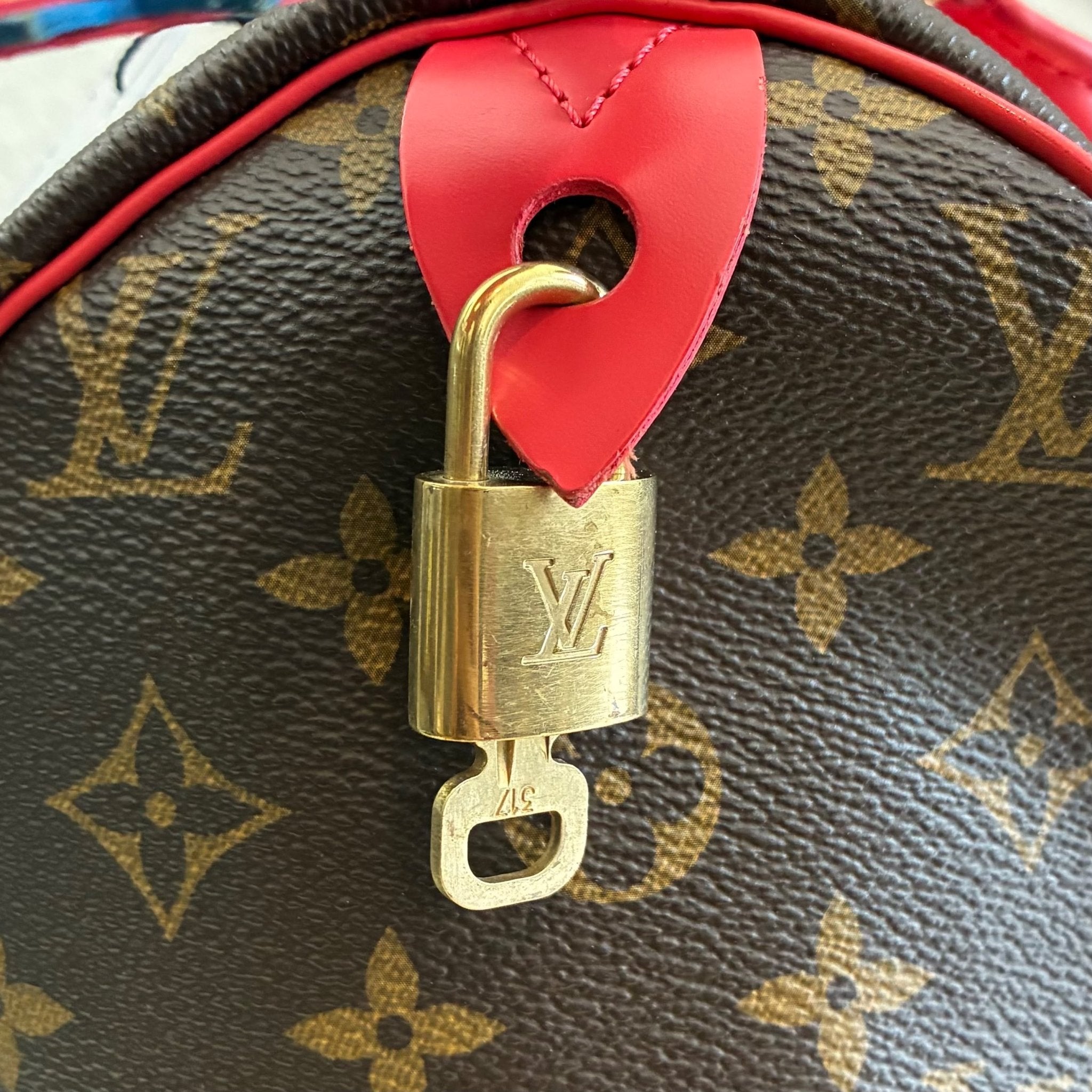 Louis Vuitton Speedy 30 Totem Monogam
