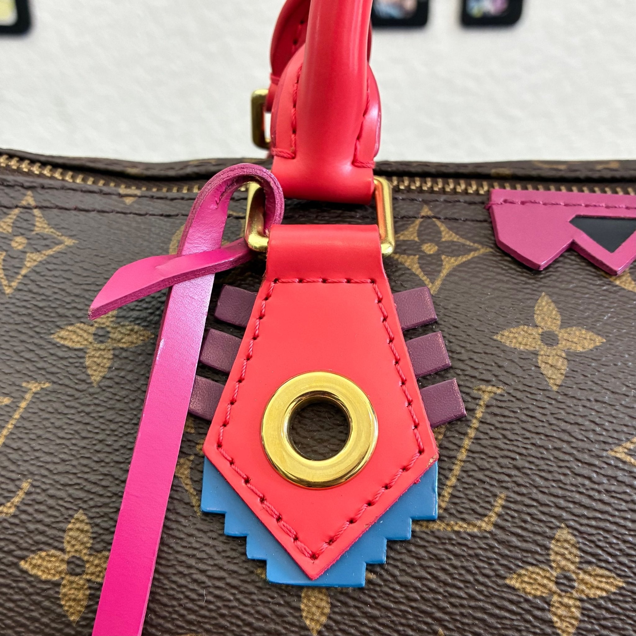 Louis Vuitton Speedy 30 Totem Monogam