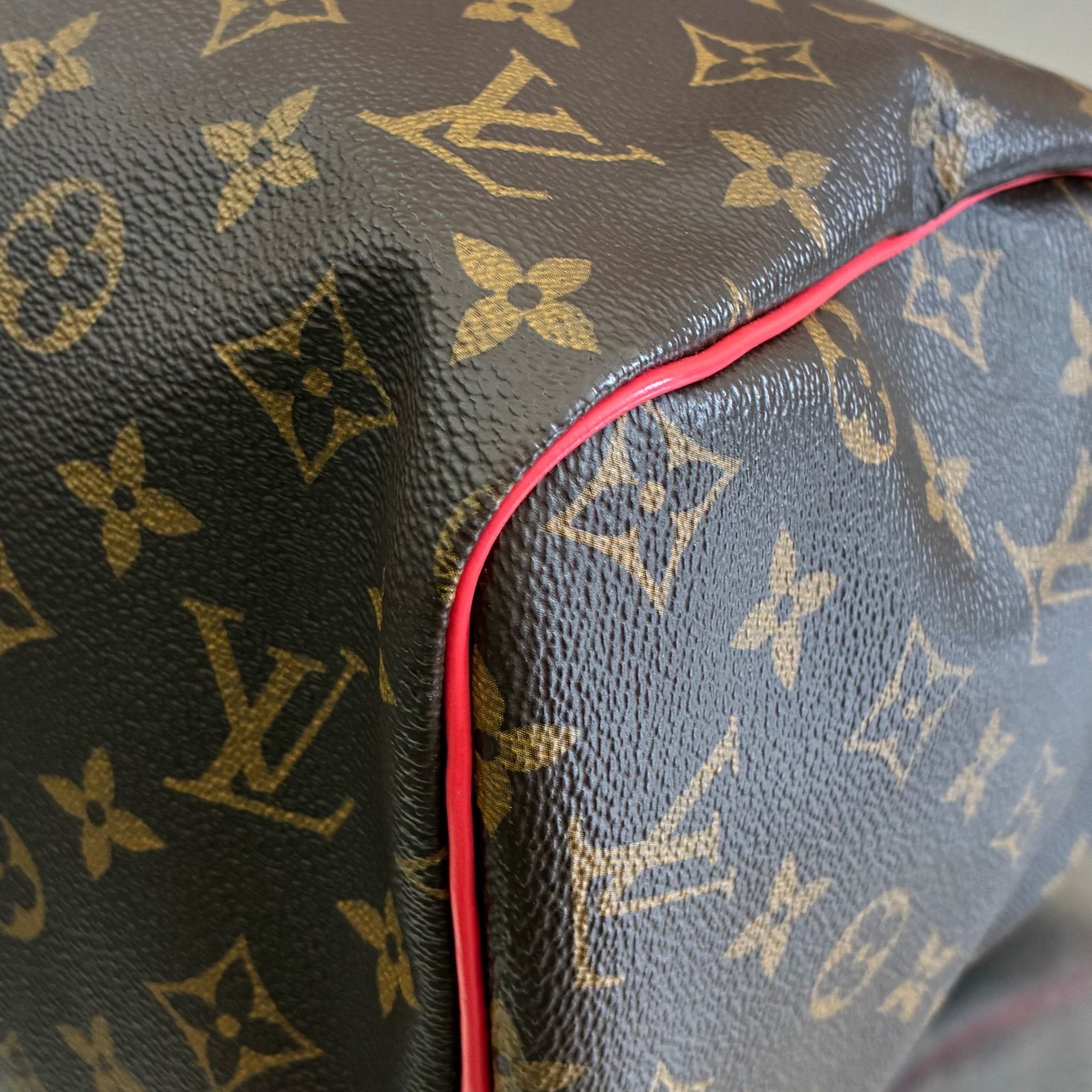 Louis Vuitton Speedy 30 Totem Monogam