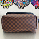 Louis Vuitton Sprinter Messenger Damier Ebene