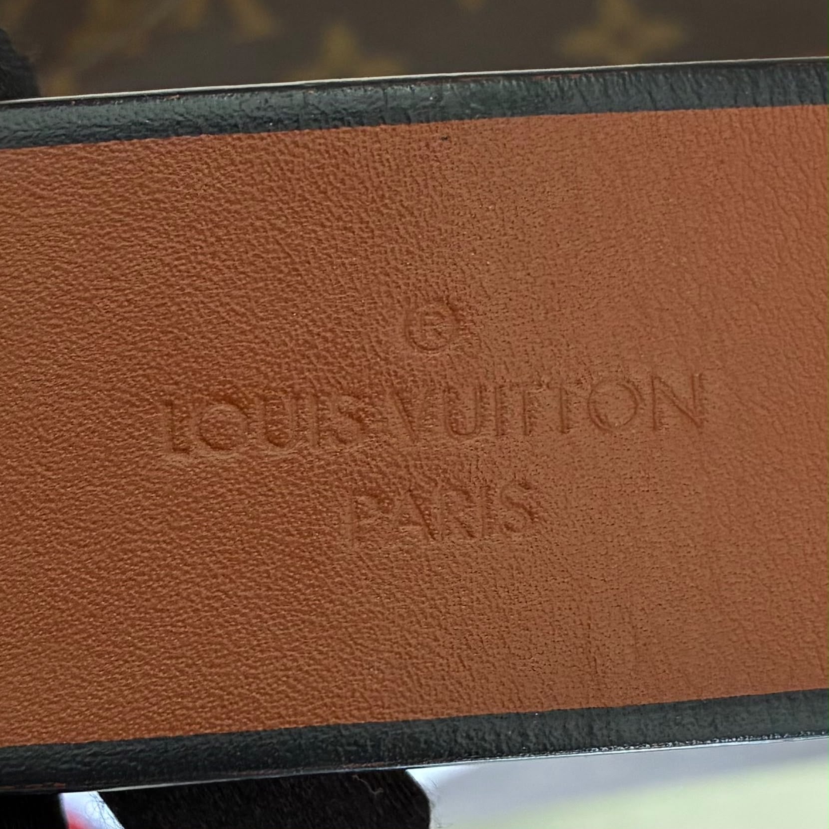 Louis Vuitton Tuileries Hobo Monogam