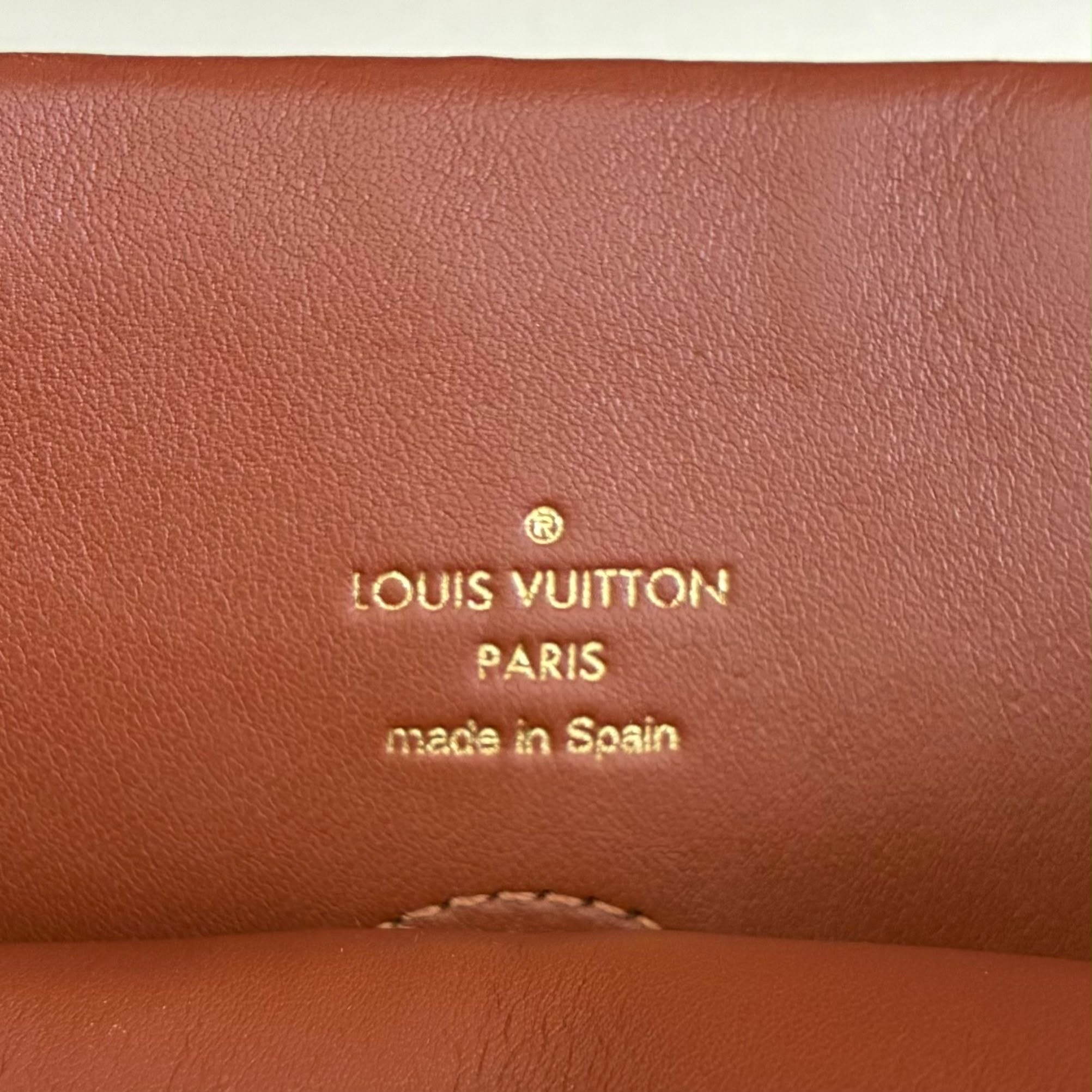 Louis Vuitton Tuileries Hobo Monogam