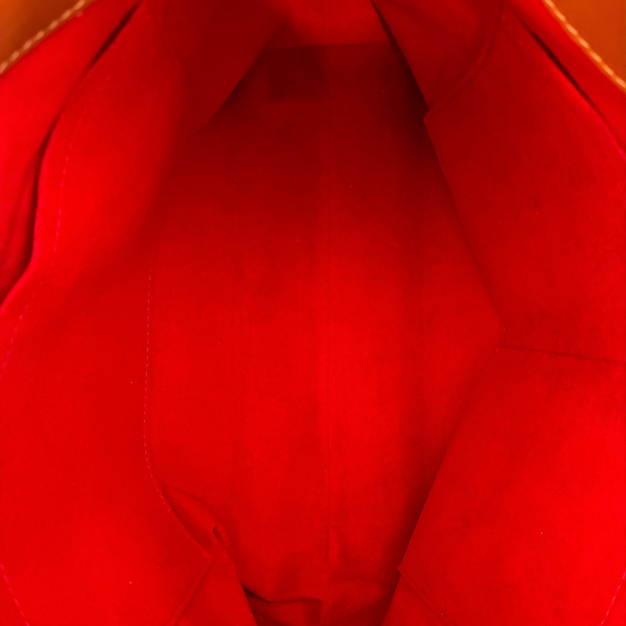Louis Vuitton Tuileries Hobo Monogam